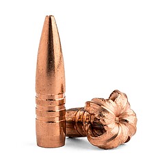 Barnes TSX FB .458 500gr 20/Box