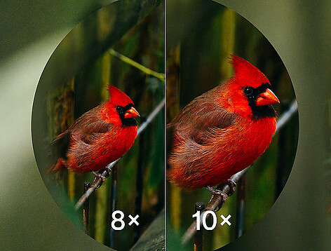 Bushnell A1 8x25 Kikare Lila - bild 8 av 8