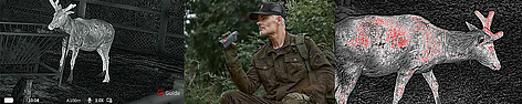  - bild 4 av 12