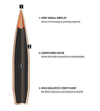 Nosler RDF .22 85gr 100/Box - bild 4 av 4