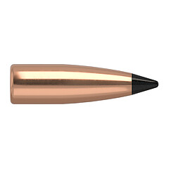 Nosler Varmageddon FB .22 53gr 100/Box