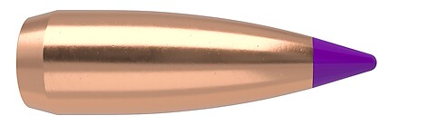 Nosler Ballistic Tip Varmint 6mm 55gr 100/Box - bild 4 av 4