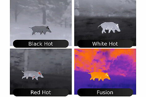  - bild 8 av 8