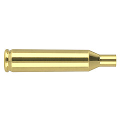 Nosler Hylsor .17 Remington 100/Box