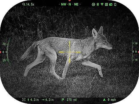 ATN X-Sight-5 Pro V2 LRF 3-15x Digital Dag/Natt - Demo - bild 6 av 9