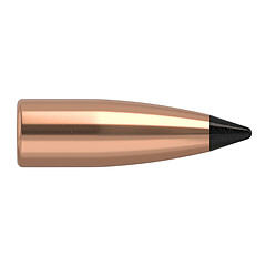 Nosler Varmageddon FB 6mm 70gr 100/Box