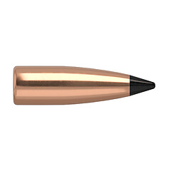 Nosler Varmageddon FB .22 50gr 100/Box