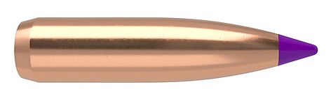 Nosler Ballistic Tip Hunting 6mm 90gr 50/Box - bild 2 av 2