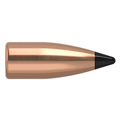 Nosler Varmageddon FB .20 32gr 100/Box