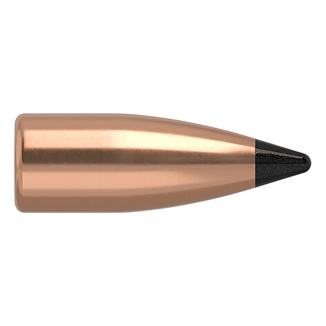 Nosler Varmageddon FB .20 32gr 100/Box
