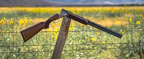 Rizzini BR110 Light Luxe 28/76 67cm - bild 7 av 7