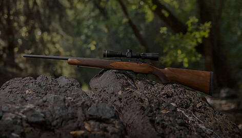 Springfield Model 2020 RF Target .22 LR Walnut - bild 6 av 7