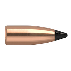 Nosler Varmageddon FB .17 20gr 100/Box
