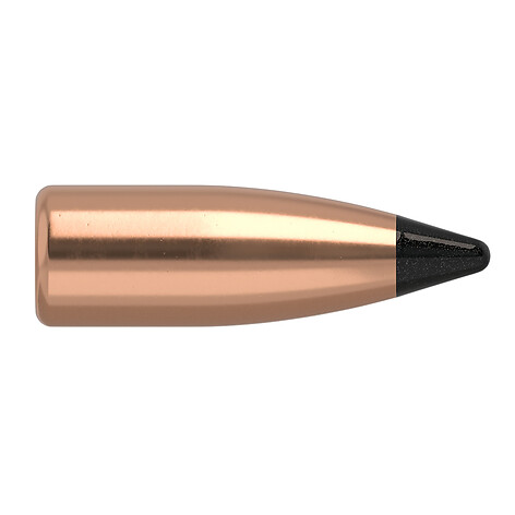 Nosler Varmageddon FB .17 20gr 100/Box