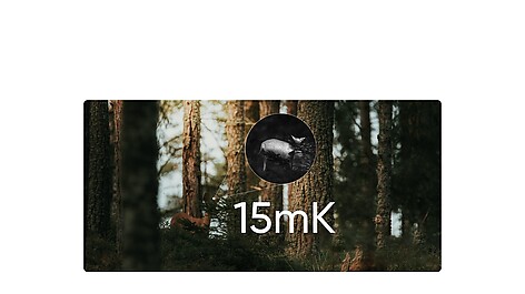  - bild 6 av 9