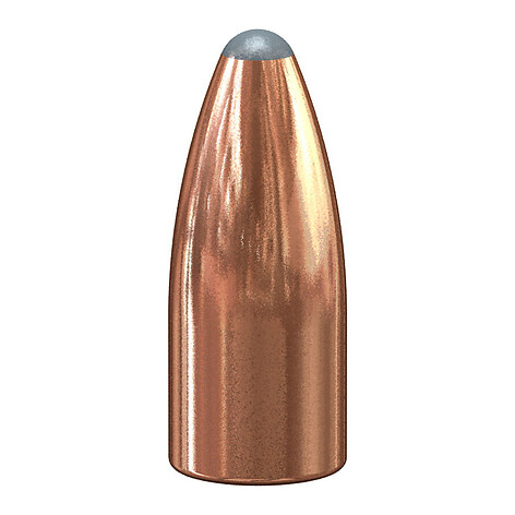 Speer Varmint JSP .224 Caliber 45gr 100/Box