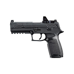Sig Sauer P320 RXP 9mmx19 4.7 tum 17rd Romeo1Pro