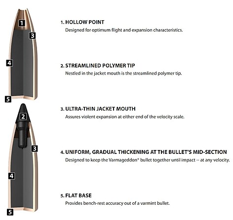 Nosler Varmageddon FBHP .17 20gr 250/Box - bild 4 av 4