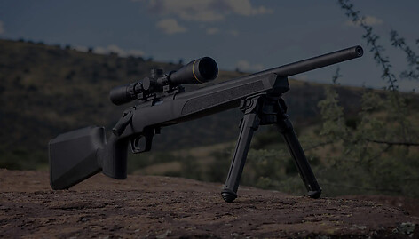 Springfield Model 2020 RF Target .22 LR Svart - bild 9 av 9