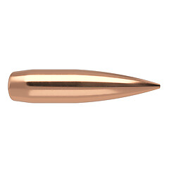 Nosler RDF .30 175gr 100/Box