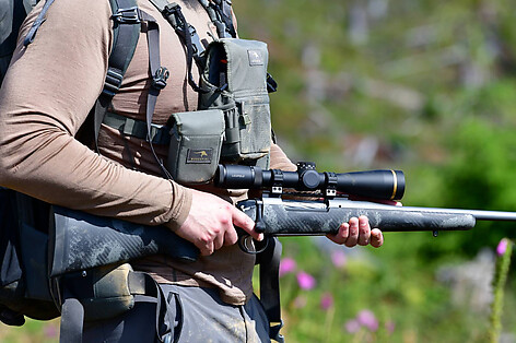 Warne Hyperlite 30mm Medium Ringar Picatinny H: 25mm FDE - bild 4 av 5