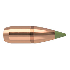 Nosler Expansioin Tip 300 AAC 110gr 50/Box