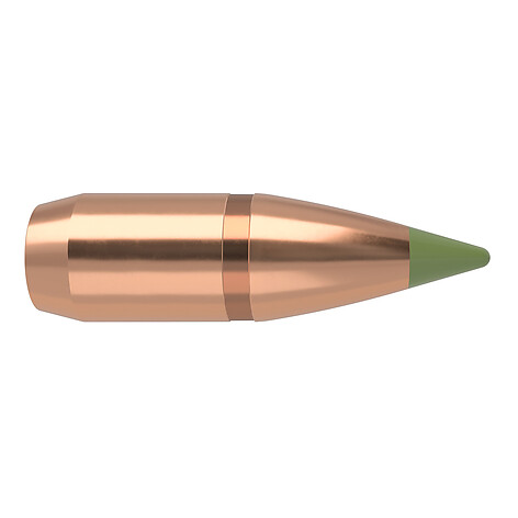 Nosler Expansioin Tip 300 AAC 110gr 50/Box