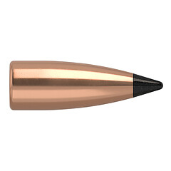 Nosler Varmageddon FB 6mm 55gr 250/Box