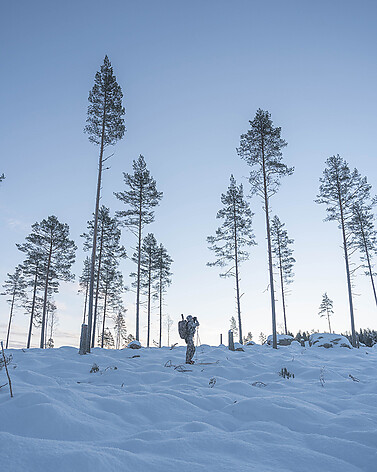 - bild 4 av 4