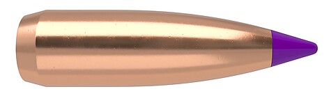 Nosler Ballistic Tip Varmint 6mm 70gr 250/Box - bild 4 av 4