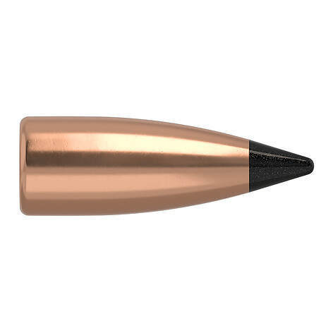 Nosler Varmageddon FB .22 40gr 250/Box