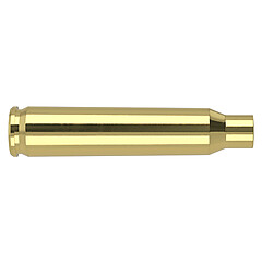 Nosler Hylsor .223 Remington 50/Box