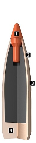 Nosler Ballistic Tip Varmint .22 55gr 1000/Box - bild 3 av 4