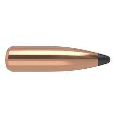 Nosler Partition .25 100gr 50/Box