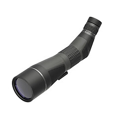 Leupold SX-4 Pro Guide HD G2 20-60x85 Vinklad Tubkikare