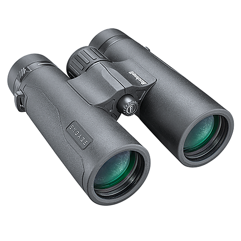 Bushnell Engage X 10x42 Kikare