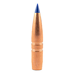 Barnes LRX Boat Tail .25 (.257) 117gr 50/Box