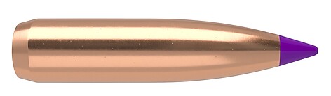 Nosler Ballistic Tip Hunting 6mm 95gr 50/Box - bild 2 av 2
