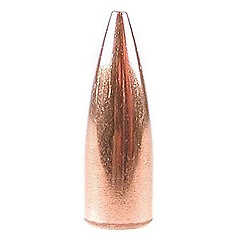 Speer TNT JHP .308 Caliber 125gr 500/Box
