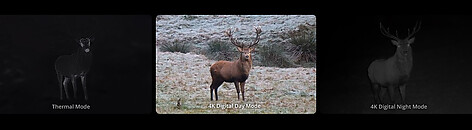  - bild 5 av 13