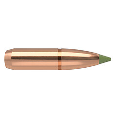 Nosler Expansioin Tip .30 180gr 50/Box