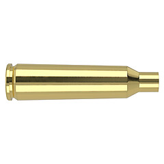 Nosler Hylsor 22-250 Remington 50/Box