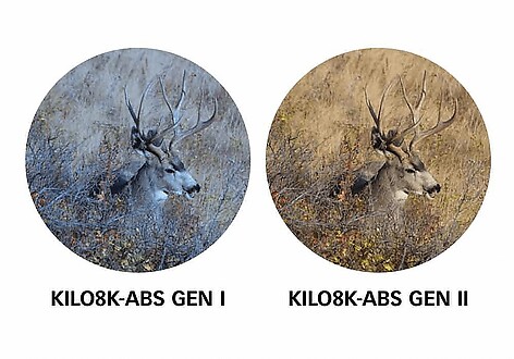  - bild 3 av 10