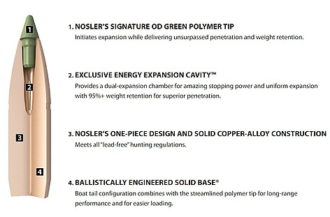 Nosler Expansioin Tip 8mm 180gr 50/Box - bild 4 av 4