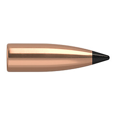 Nosler Varmageddon FB 6mm 70gr 100/Box
