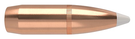 Nosler Accubond .375 Cal. 300gr 50/Box - bild 2 av 2