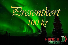 Presentkort - 100 kr