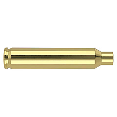 Nosler Hylsor Bulk 204 Ruger 250/Box