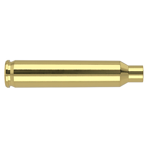 Nosler Hylsor Bulk 204 Ruger 250/Box