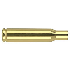 Nosler Hylsor Bulk 222 Remington Magnum 250/Box